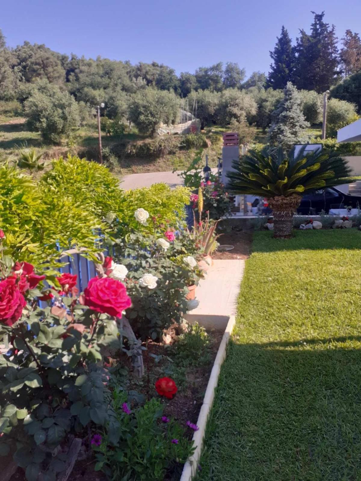 Simos' Sea View House Villa Nikopolis Buitenkant foto